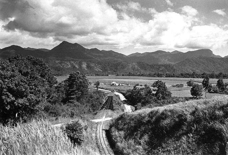 File:Canefields, Mowbray, 1935.jpg