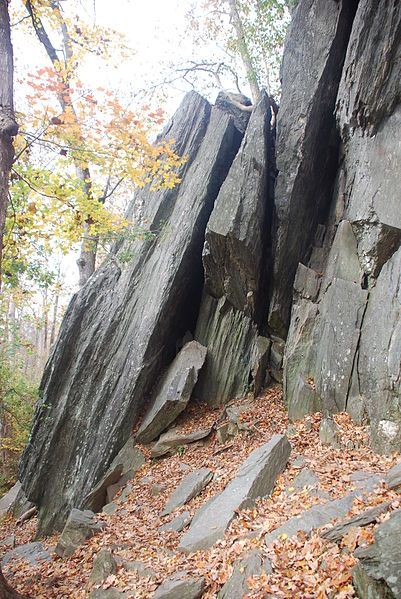 File:Carderock - 22.JPG