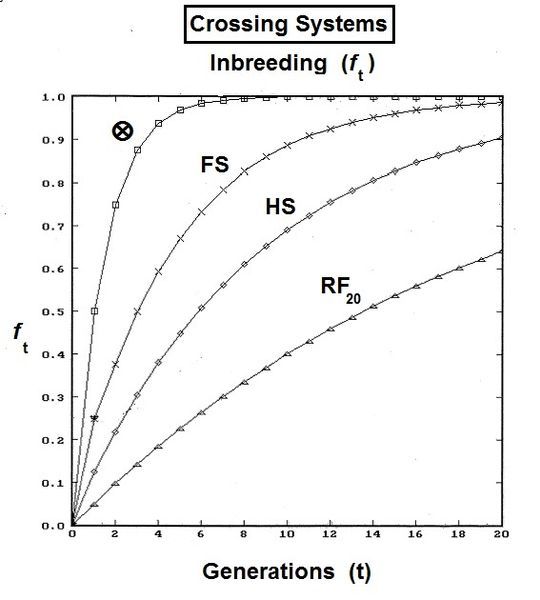 File:Crossing Inbreeding.jpg