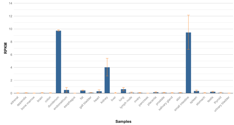 File:ERICH4TissueExp.png