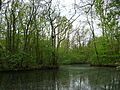 Nature park in Maarssenbroek