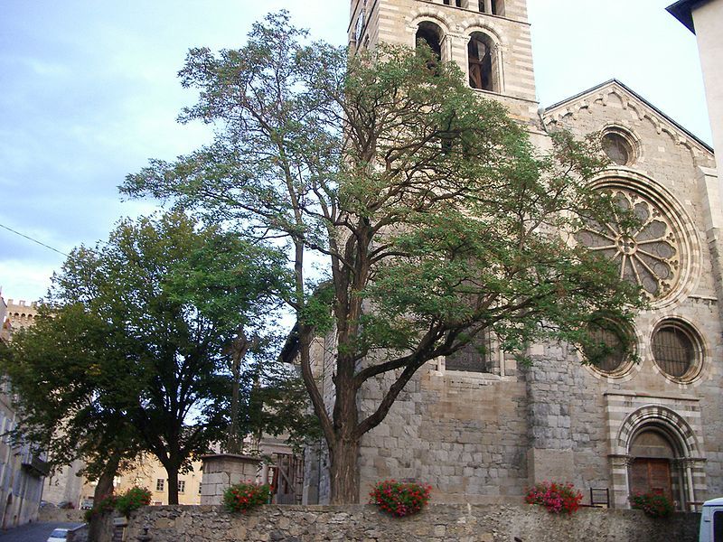 File:Embrun Cathédrale.JPG