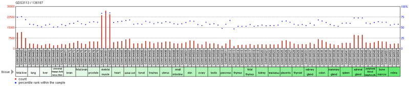 File:GEO Profile LENG9.png