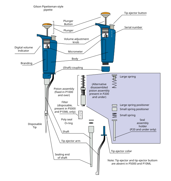 File:Gilson schematic.svg