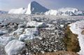 Large icebergs and small "iskosser"