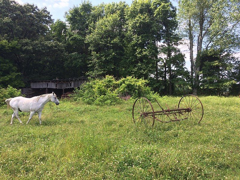 File:HenryCo Pasture.jpg