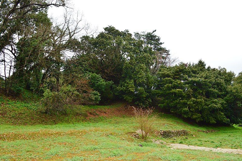 File:Himenojo Kofun, zenkei.jpg