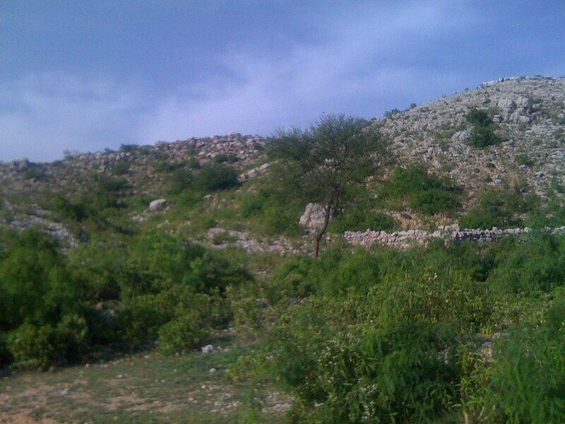 File:Karuli Village Mountain.JPG