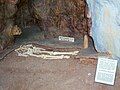 Reconstruction of a mausoleum with an Archanthropus skeleton