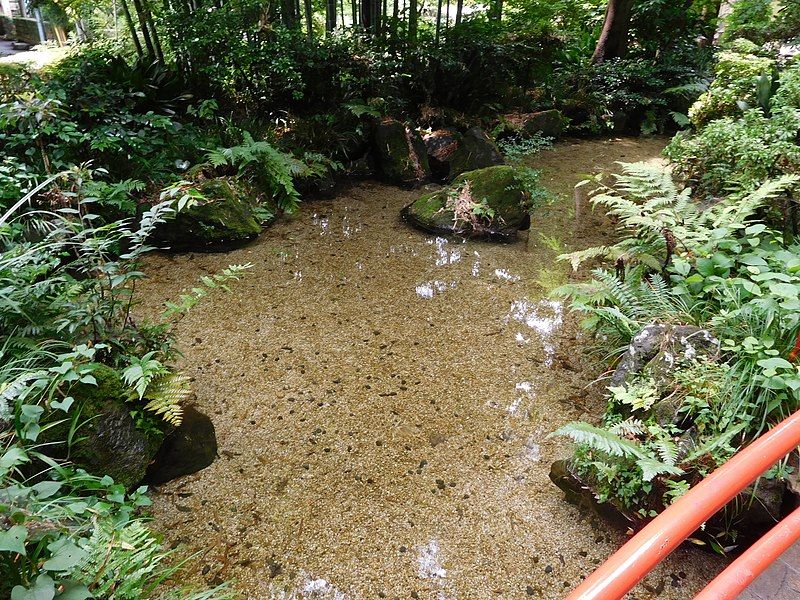 File:Masugata Pond.jpg