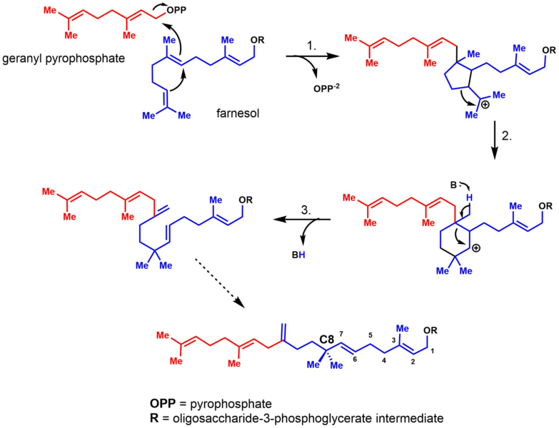 File:Moenocinol Biosynthesis.png