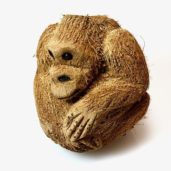 File:Muñeco de coco.jpg