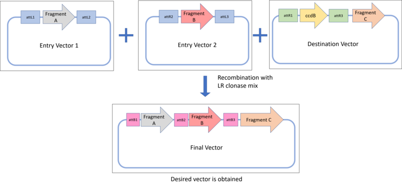 File:Multisite Gateway Assembly.png