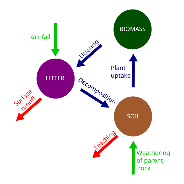 File:Nutrient cycle.svg