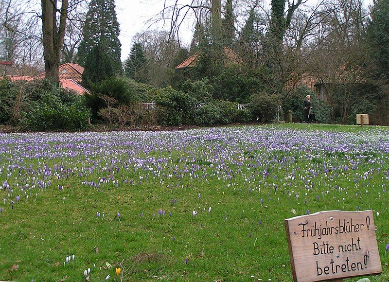 File:Oldenburg Schlossgarten 1.JPG