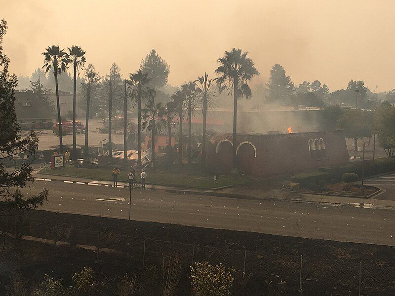 File:Puerto Vallarta burns.jpg