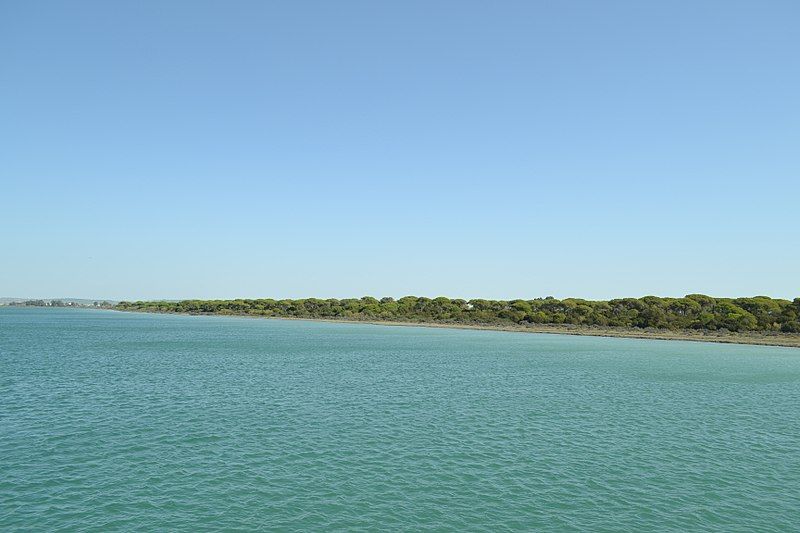 File:Río San Pedro.jpg