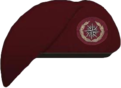 File:Recce Beret 2.png