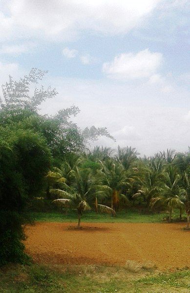 File:Siddapura, Yediyur, Tumkuru.jpg