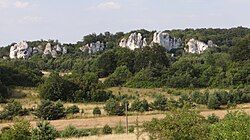 Rzędkowice limestone rocks