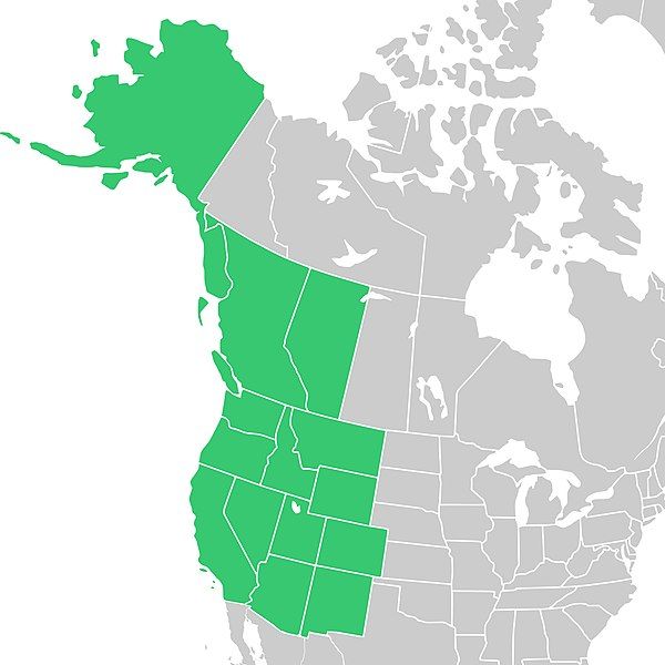 File:Symphyotrichum foliaceum distribution.jpg