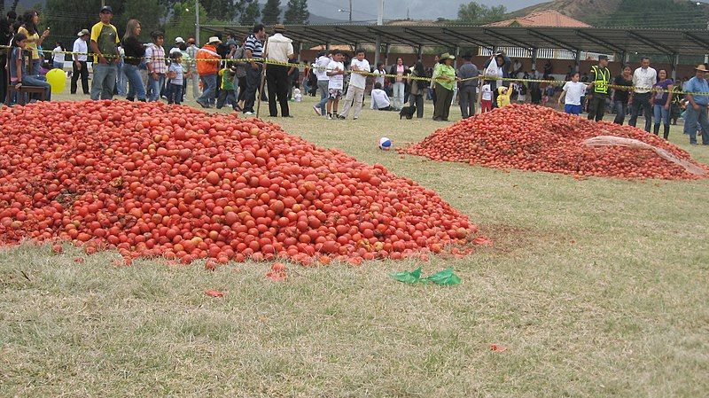 File:Tomatina Colombia.jpg