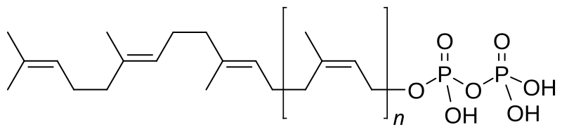 File:Undecaprenyl pyrophosphate.svg