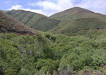 Montaña de Oro