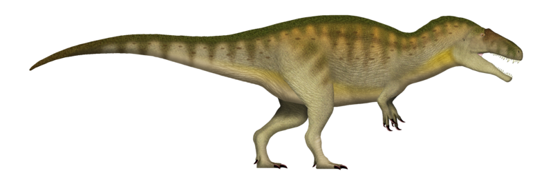 File:Acrocanthosaurus UDL.png