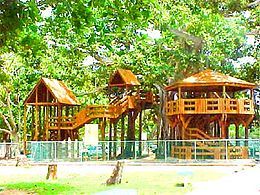 Banyan Treehouse