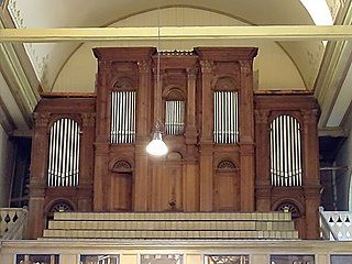 Sauer organ