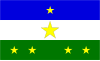 Flag of Rorainópolis