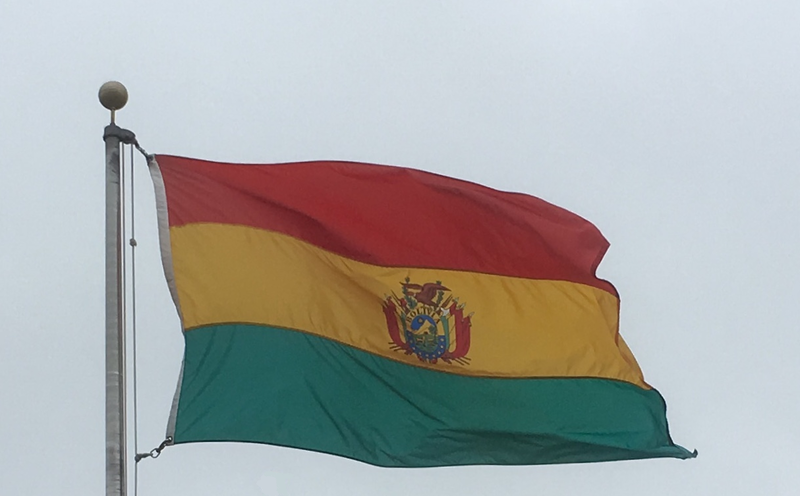 File:Bolivian flag.png