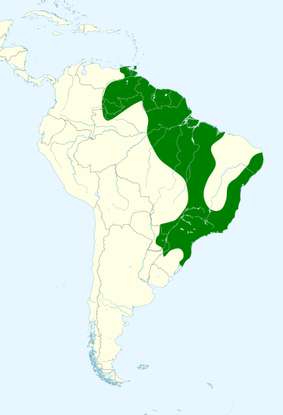 File:Euphonia violacea map.svg