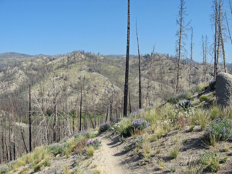 File:Fisher Creek Trail.JPG