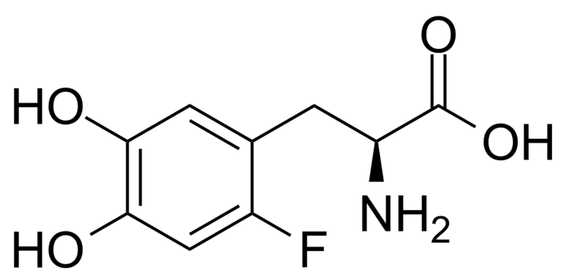 File:Fluorodopa.png