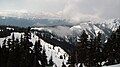 Hurricane Ridge in early May