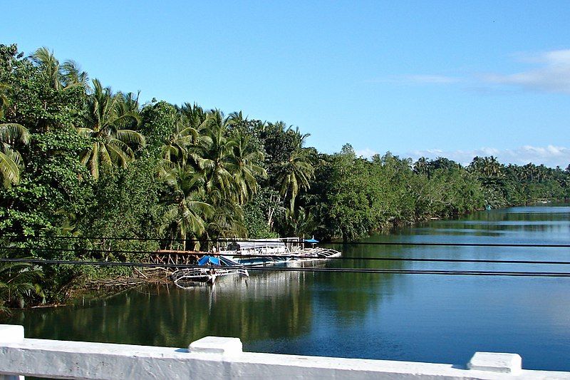 File:Inabanga River.jpg