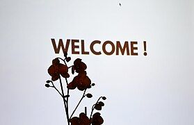 Welcome