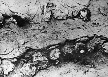 Katyn 1943 exhumation (photo by International Red Cross delegation)