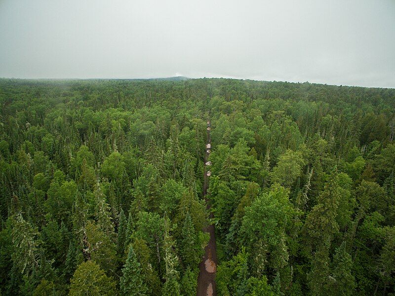 File:Keweenaw Forest.jpg