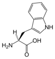 L-Tryptophan (Trp / W)