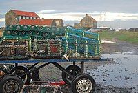 Lindisfarne lobster pots