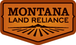 MLR logo