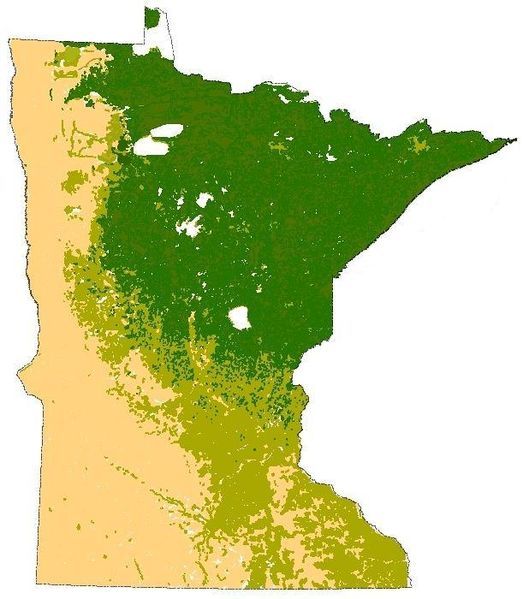 File:Minnesota Terrestrial Biomes.jpg