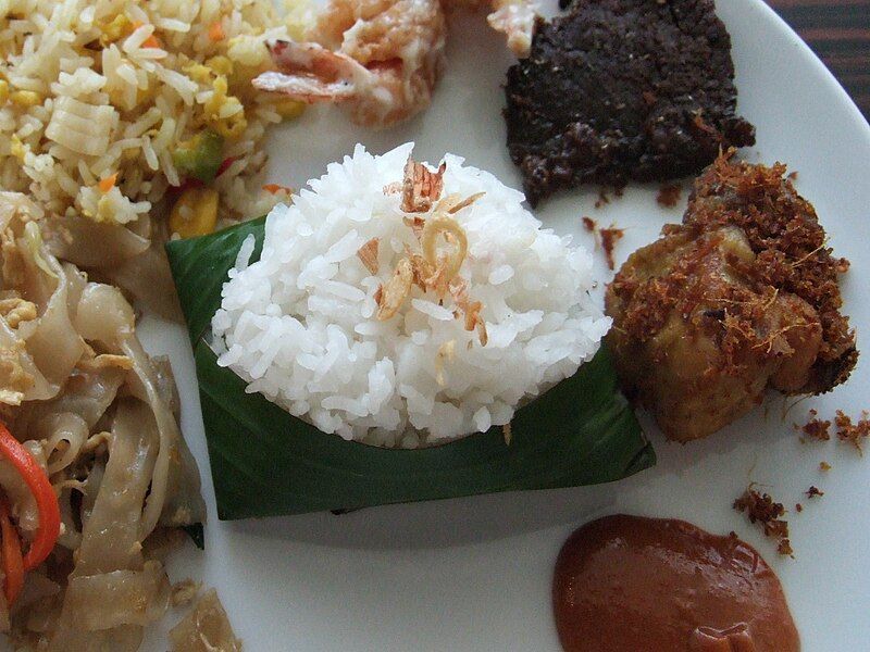 File:Nasi uduk.jpg