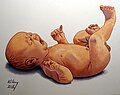 Newborn baby (watercolour and gouache on paper)