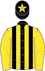 Black and yellow stripes, yellow sleeves, yellow star on cap