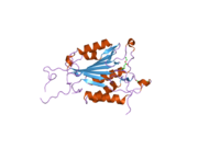 2c1e: CRYSTAL STRUCTURES OF CASPASE-3 IN COMPLEX WITH AZA-PEPTIDE MICHAEL ACCEPTOR INHIBITORS.