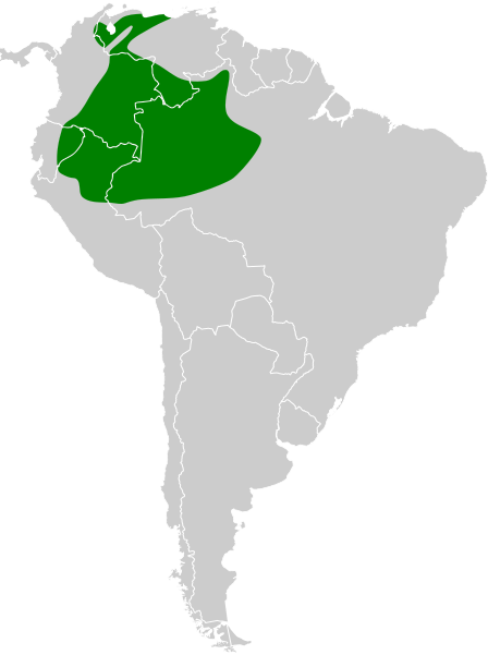 File:Pipra filicauda map.svg